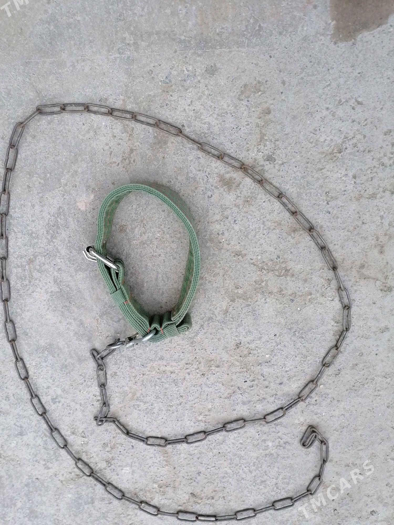 зинджир - Дашогуз - img 2