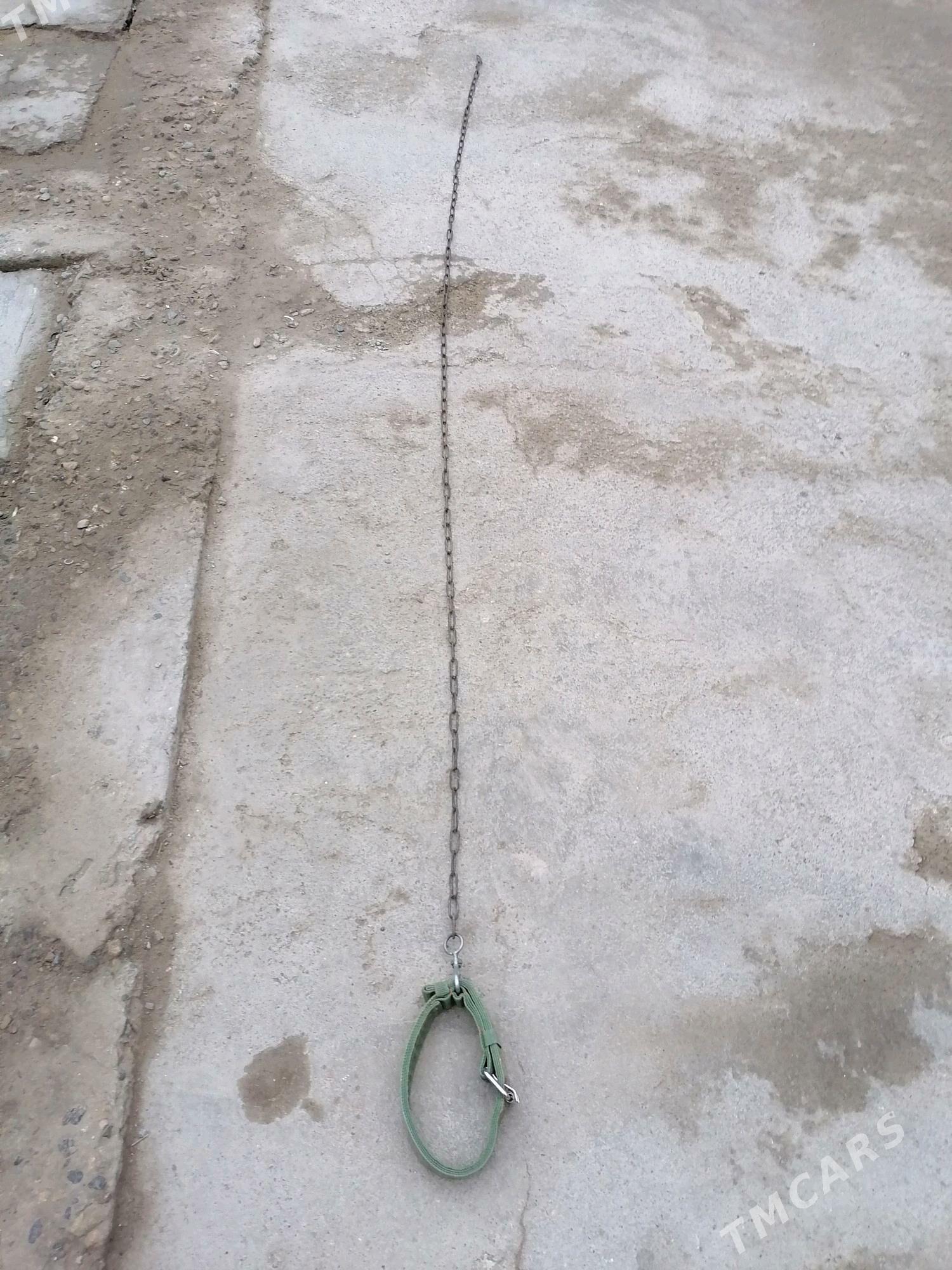 зинджир - Дашогуз - img 3