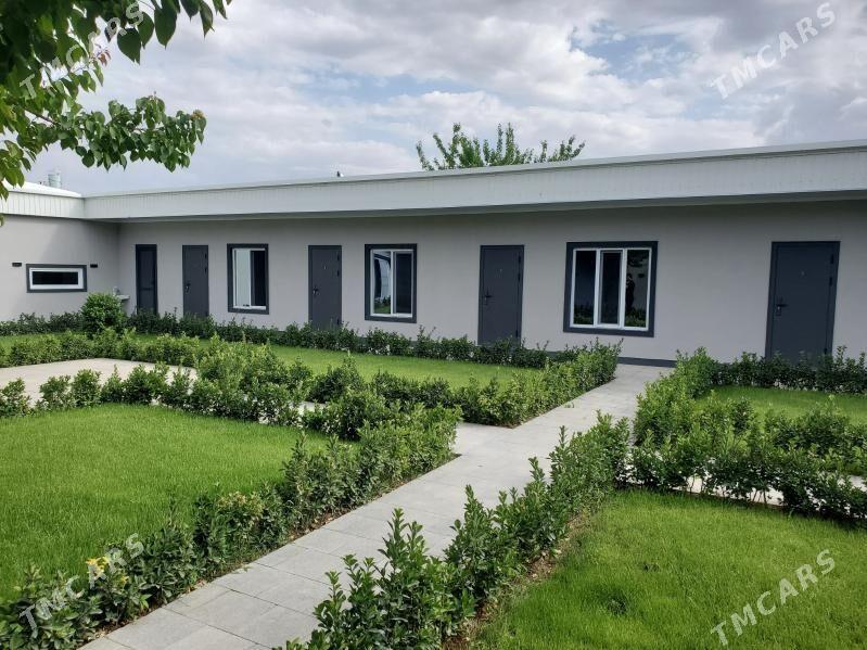 Ayna Gapy   AMATLY ️ ️ - Бузмеин - img 7