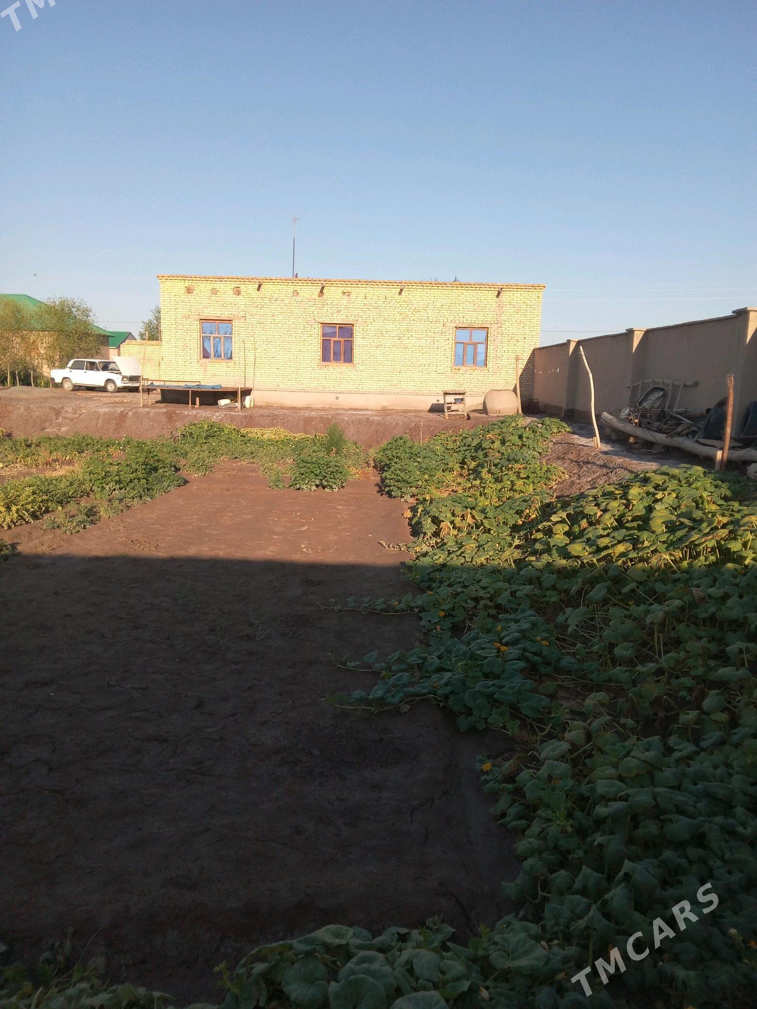 satlyk jay Türkmenbaşy etr. - етр. Туркменбаши - img 4