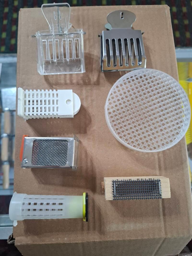 Bal ary harytlary - Daşoguz - img 8