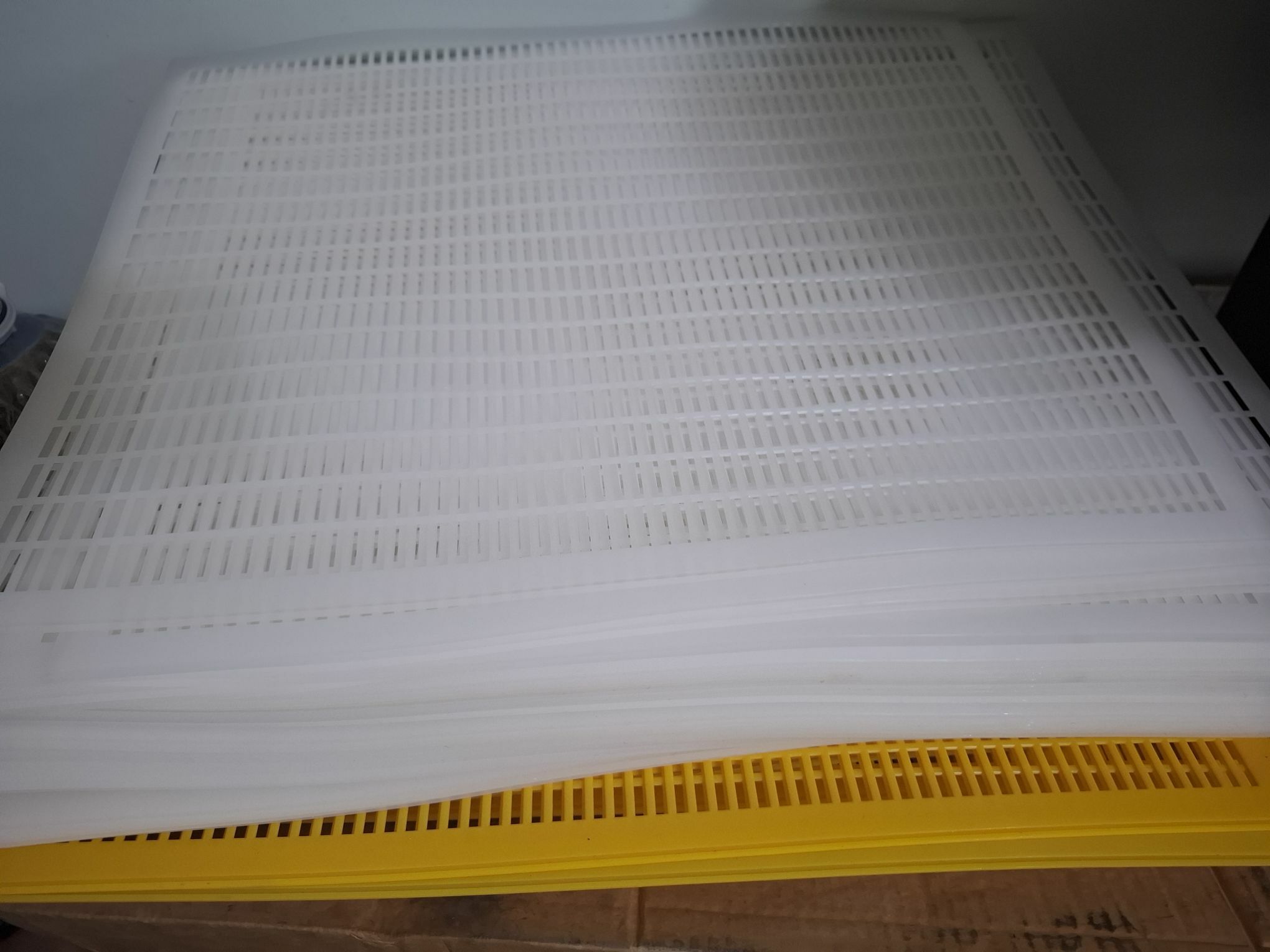 Bal ary harytlary - Daşoguz - img 5