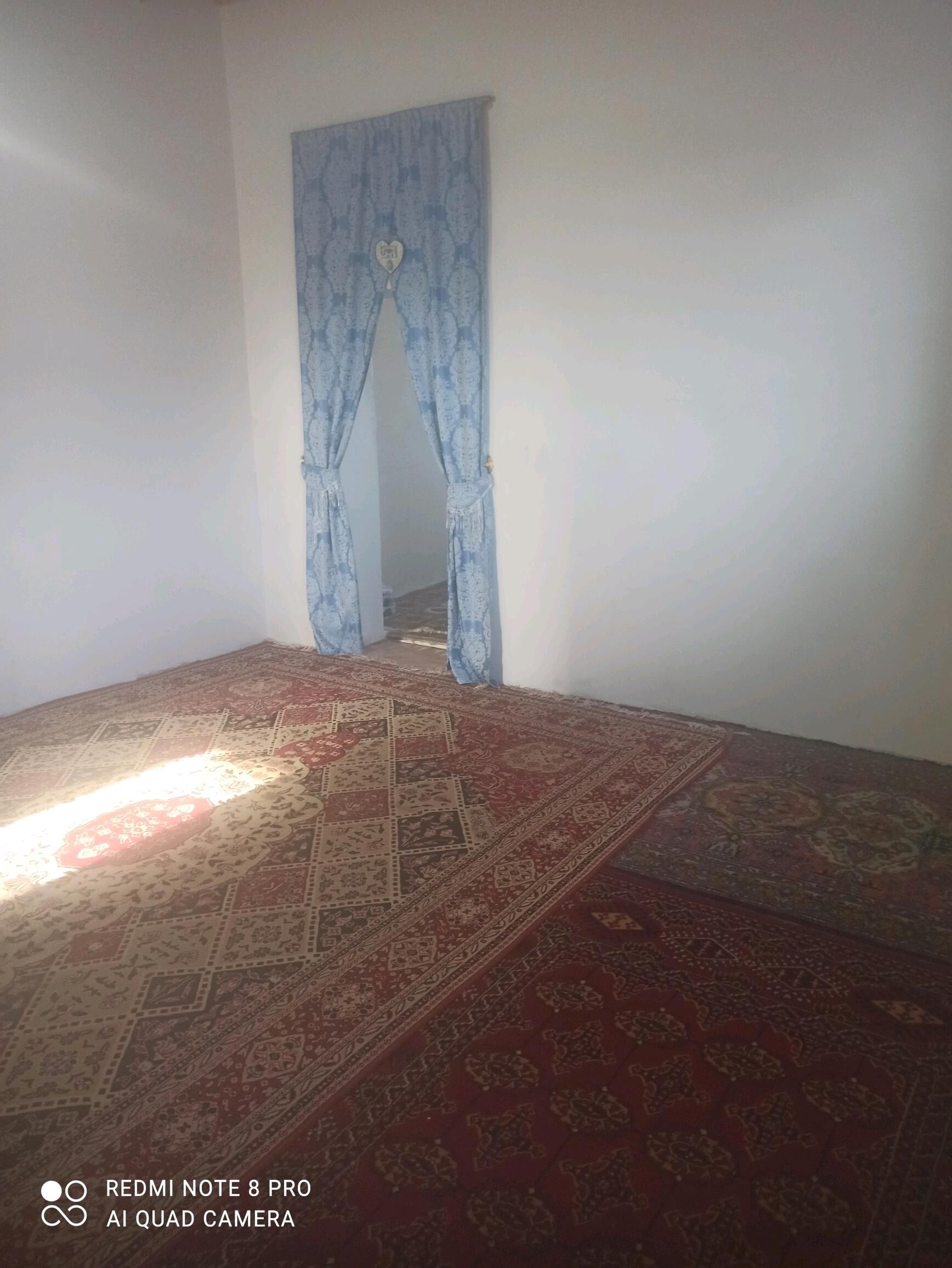 jay - Гороглы (Тагта) - img 3