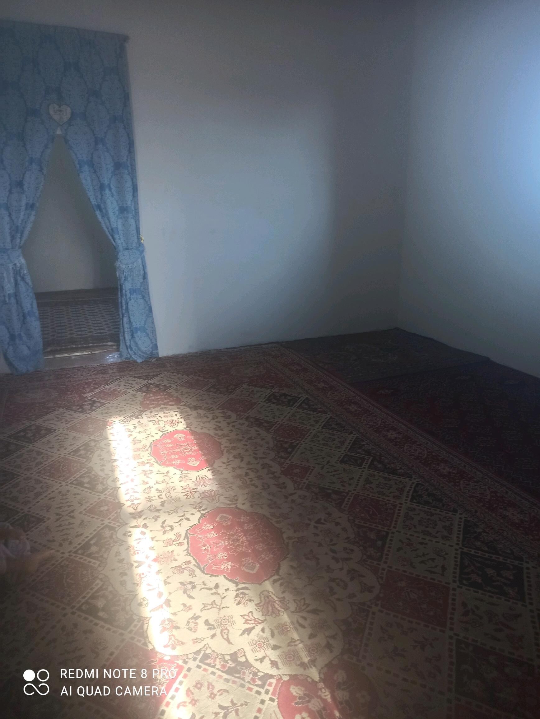 jay - Гороглы (Тагта) - img 4