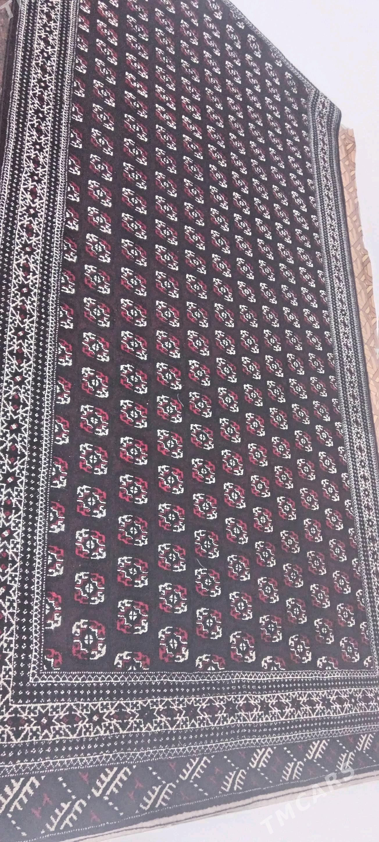 haly - Гумдаг - img 1