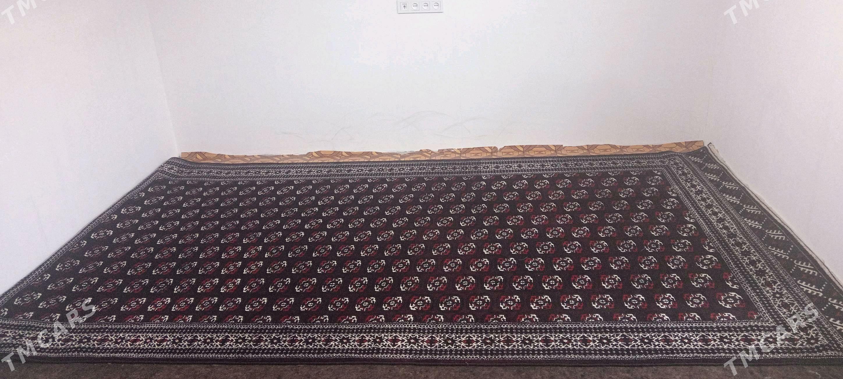 haly - Гумдаг - img 2