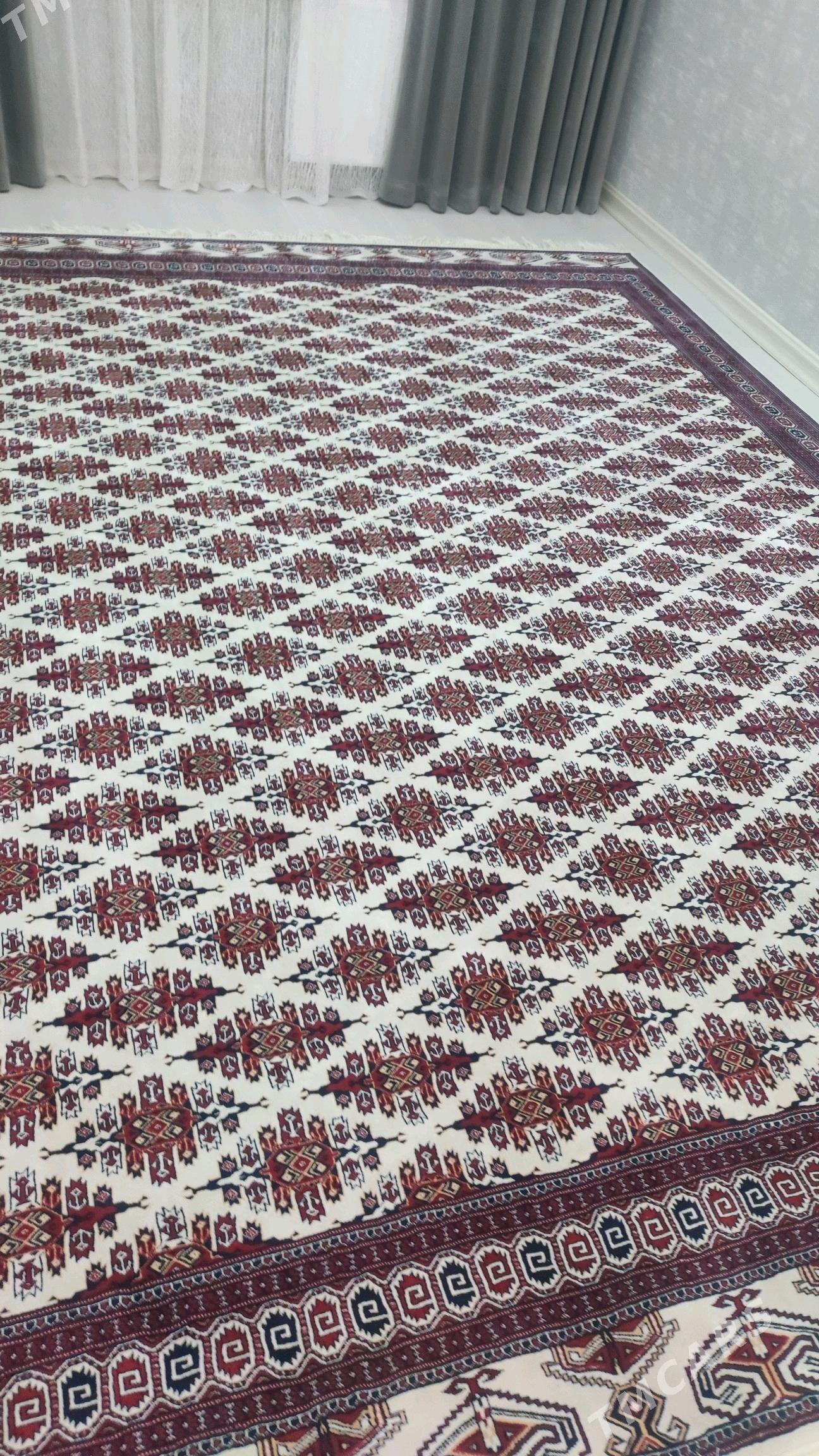 Haly - Balkanabat - img 1