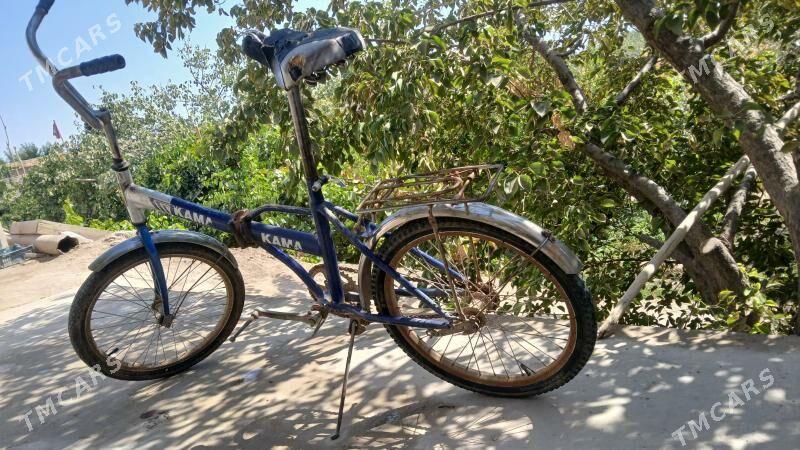 welik - Daşoguz - img 4