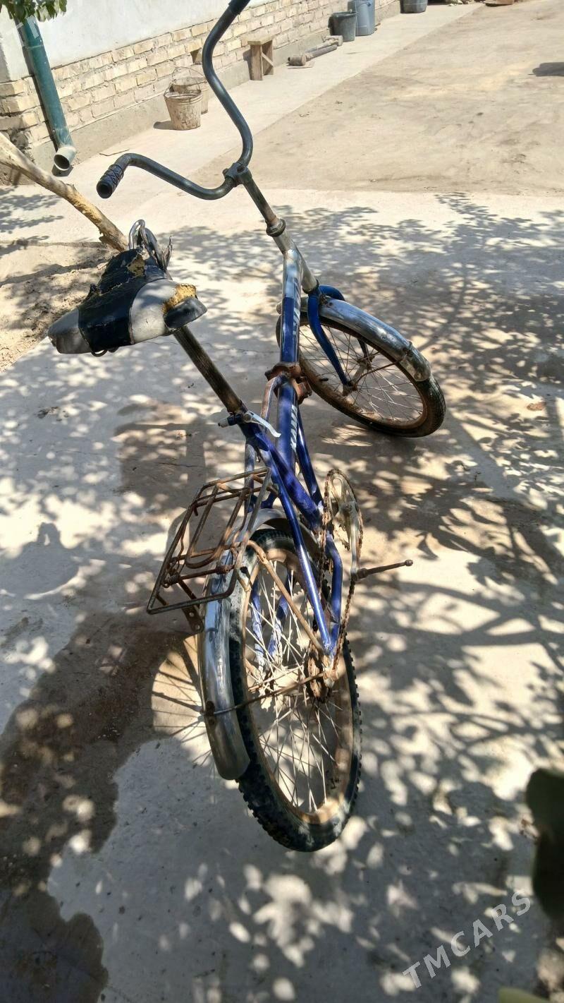 welik - Daşoguz - img 2