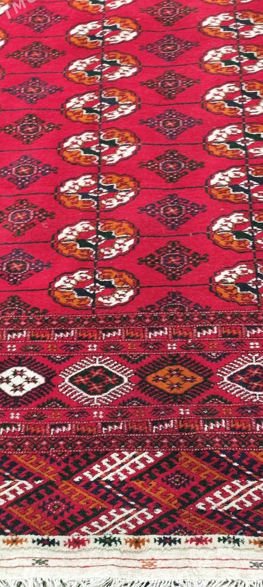 el haly ince 12 lik - Bäherden - img 7