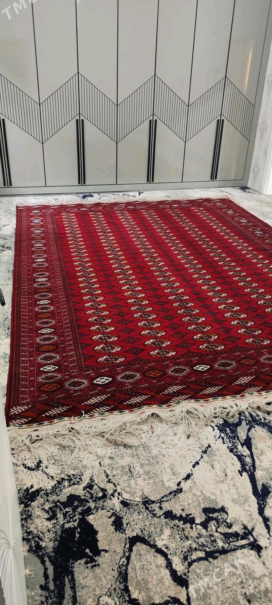 el haly ince 12 lik - Bäherden - img 4