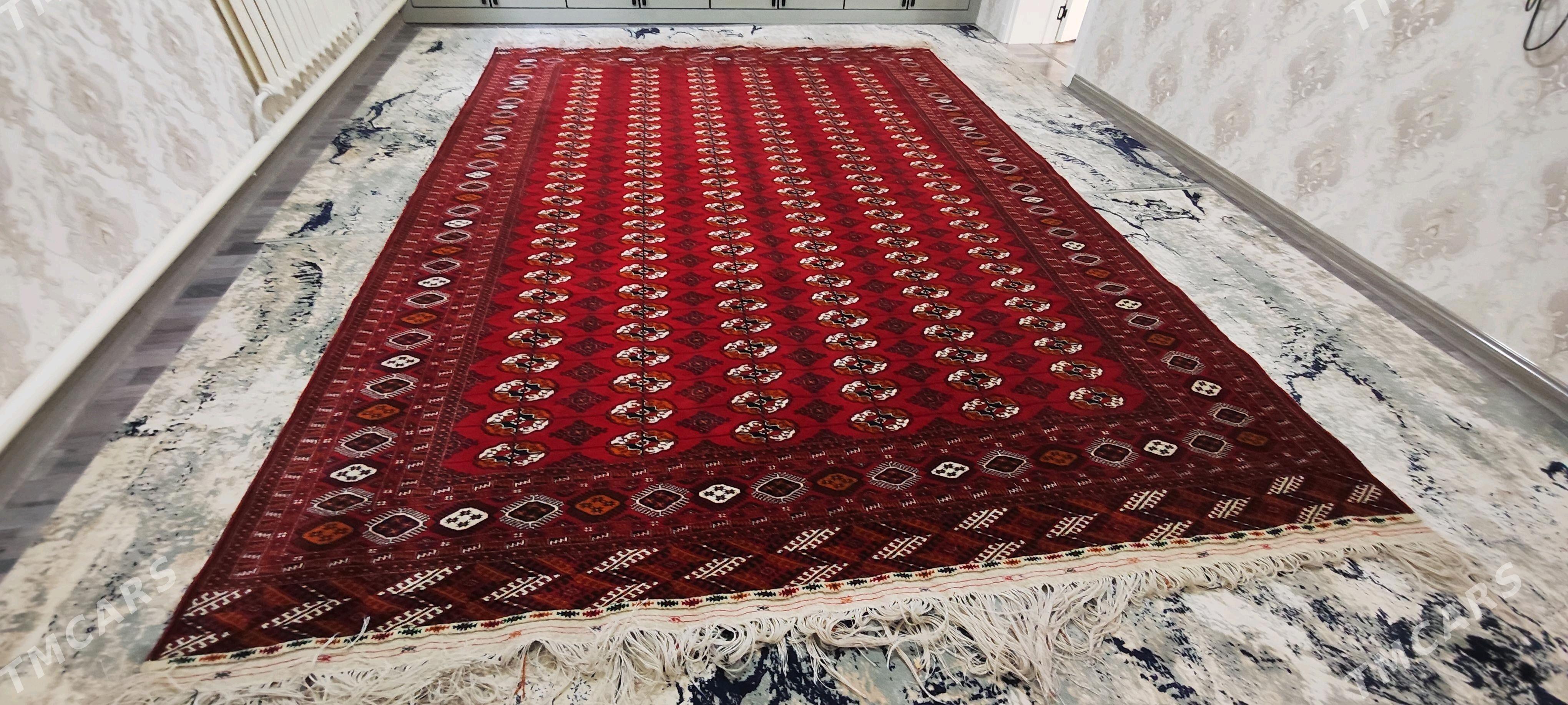 el haly ince 12 lik - Bäherden - img 1