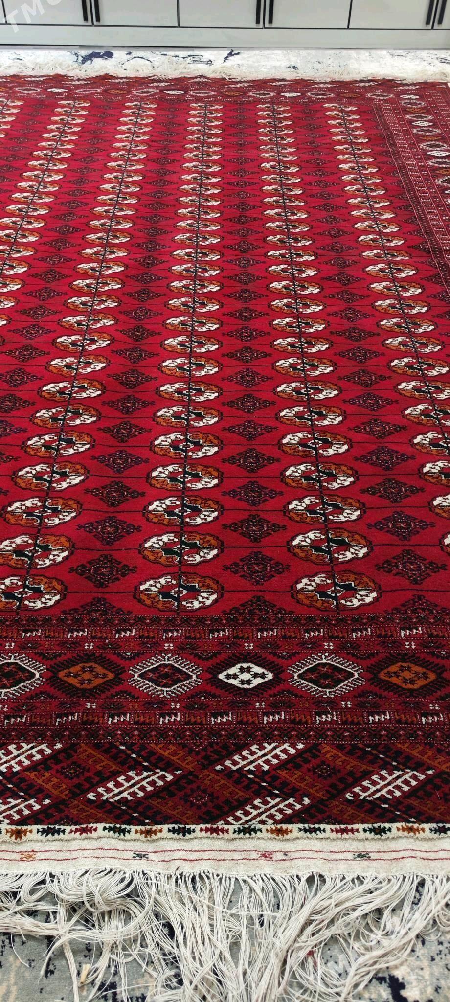 el haly ince 12 lik - Bäherden - img 5