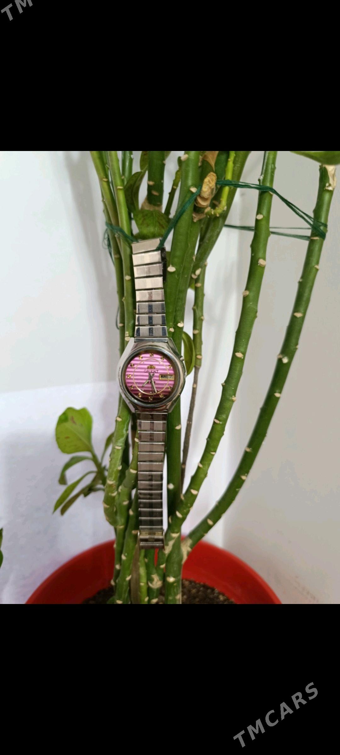 cagat.САГАТ - Ашхабад - img 5