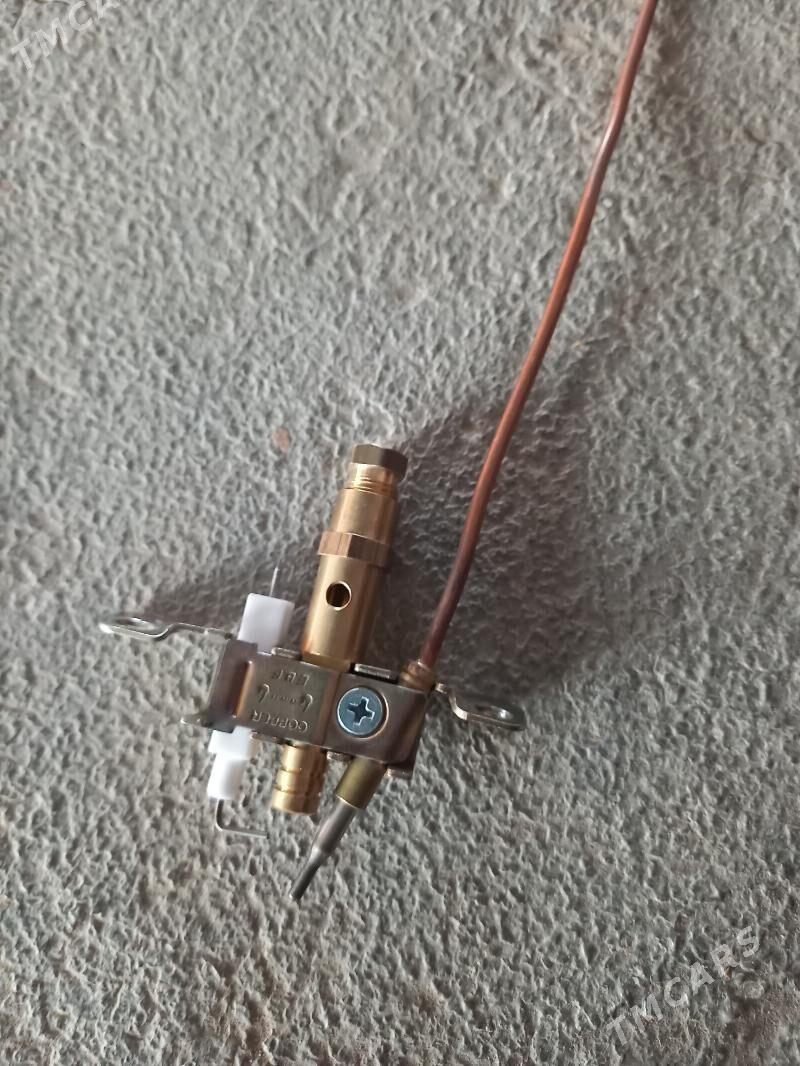 Gaz pejiniñ zapçasty - Sakarçäge - img 2