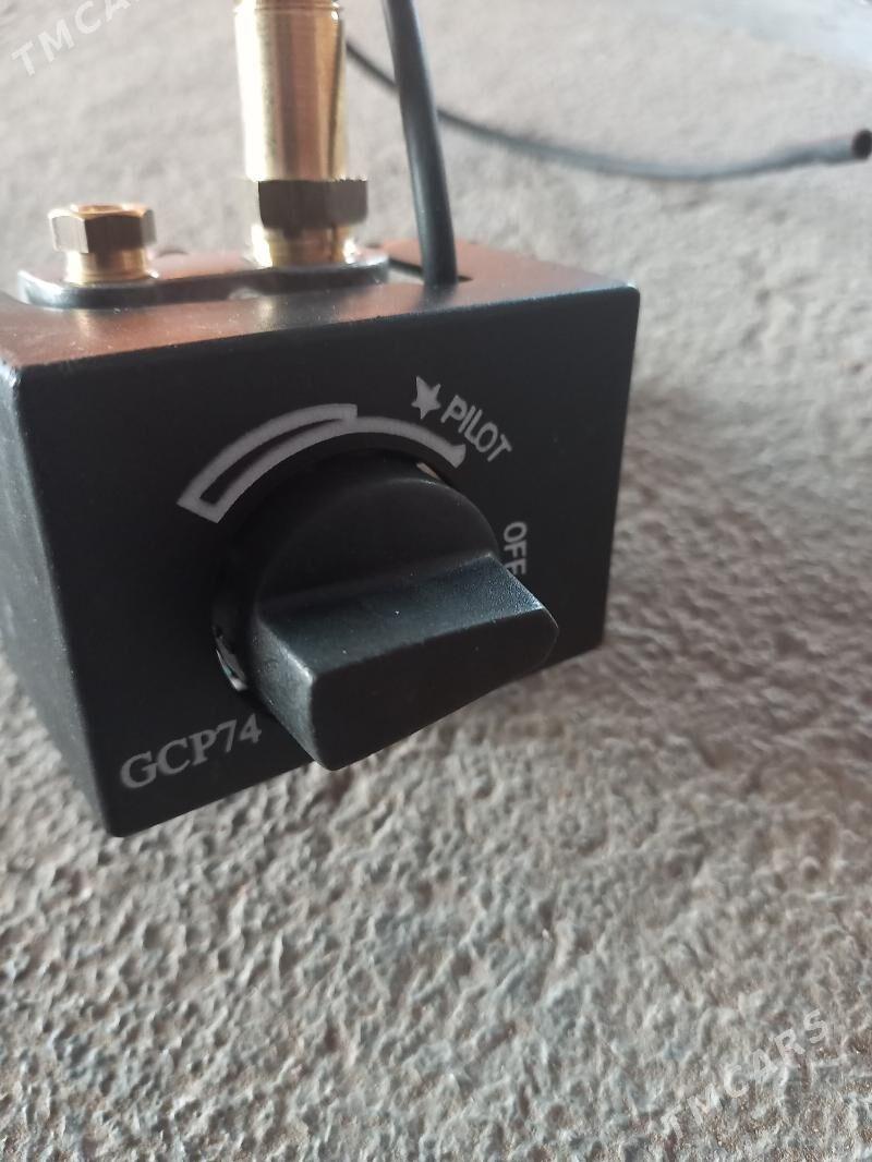 Gaz pejiniñ zapçasty - Sakarçäge - img 1