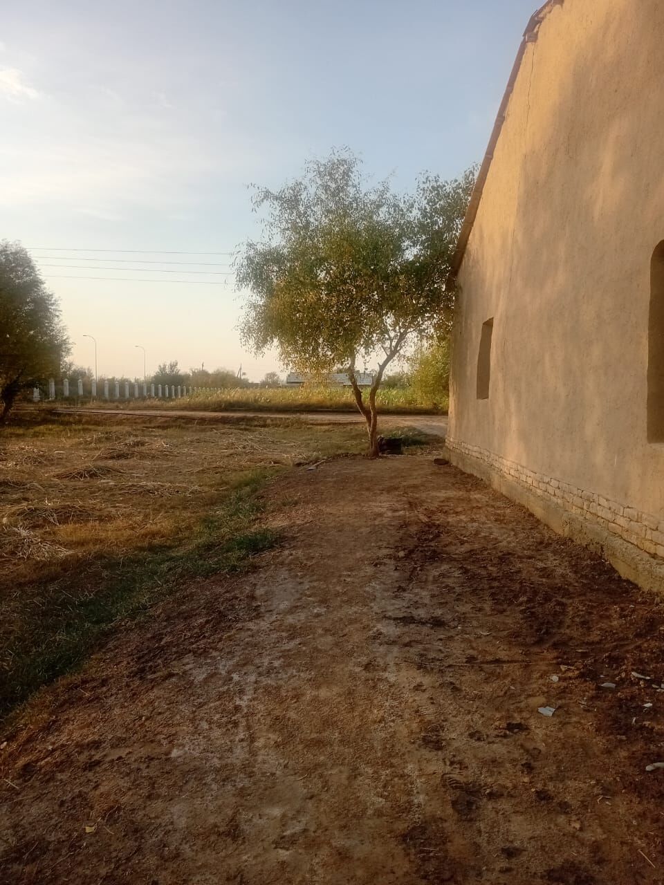 jay satlyk - Кёнеургенч - img 6