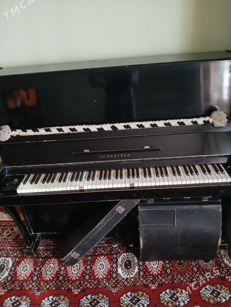 pianino - Гуртли - img 1