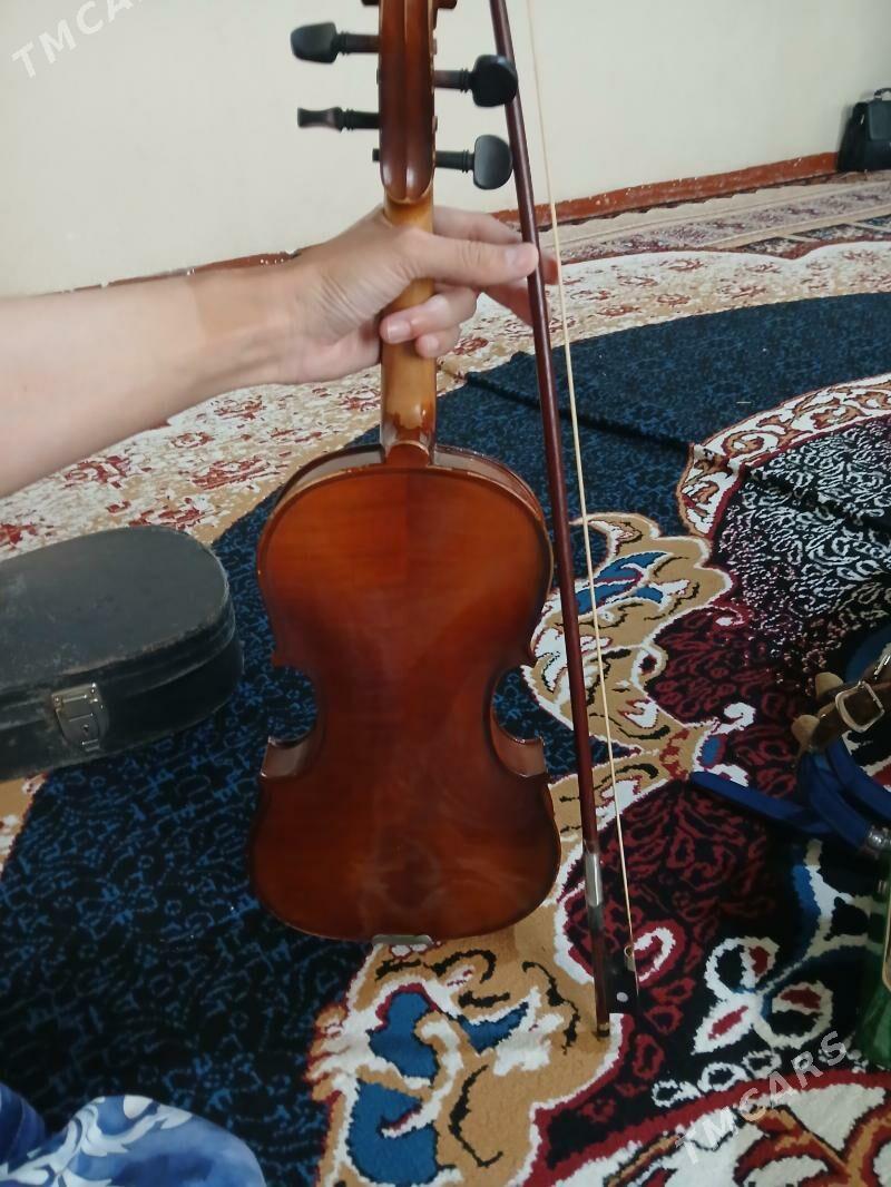 Skripka - Гуртли - img 1