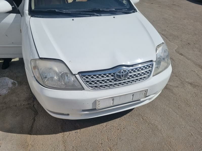 Haliji carollan oni 102 TMT - Änew - img 1