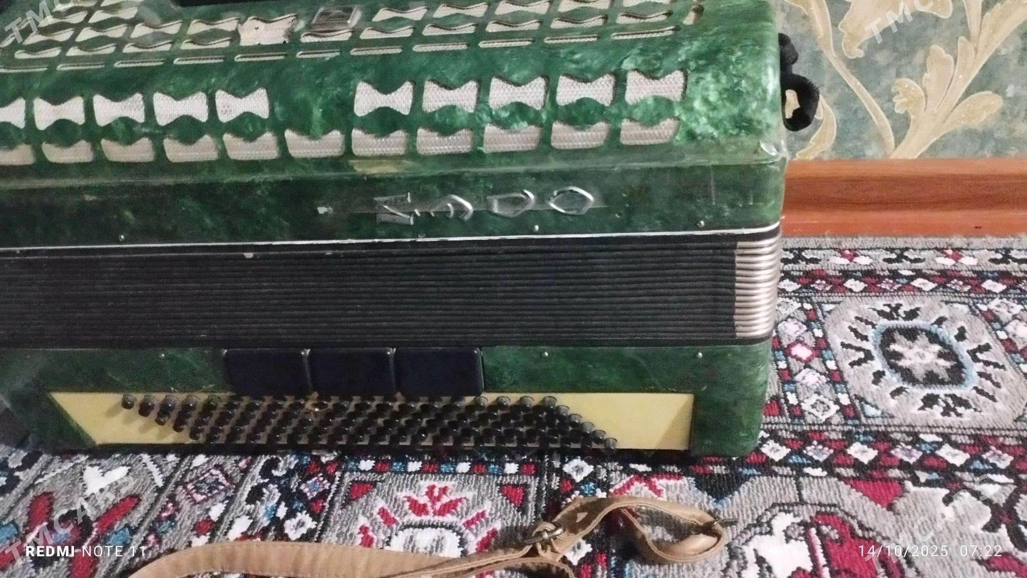 akkardeon - Mary - img 2