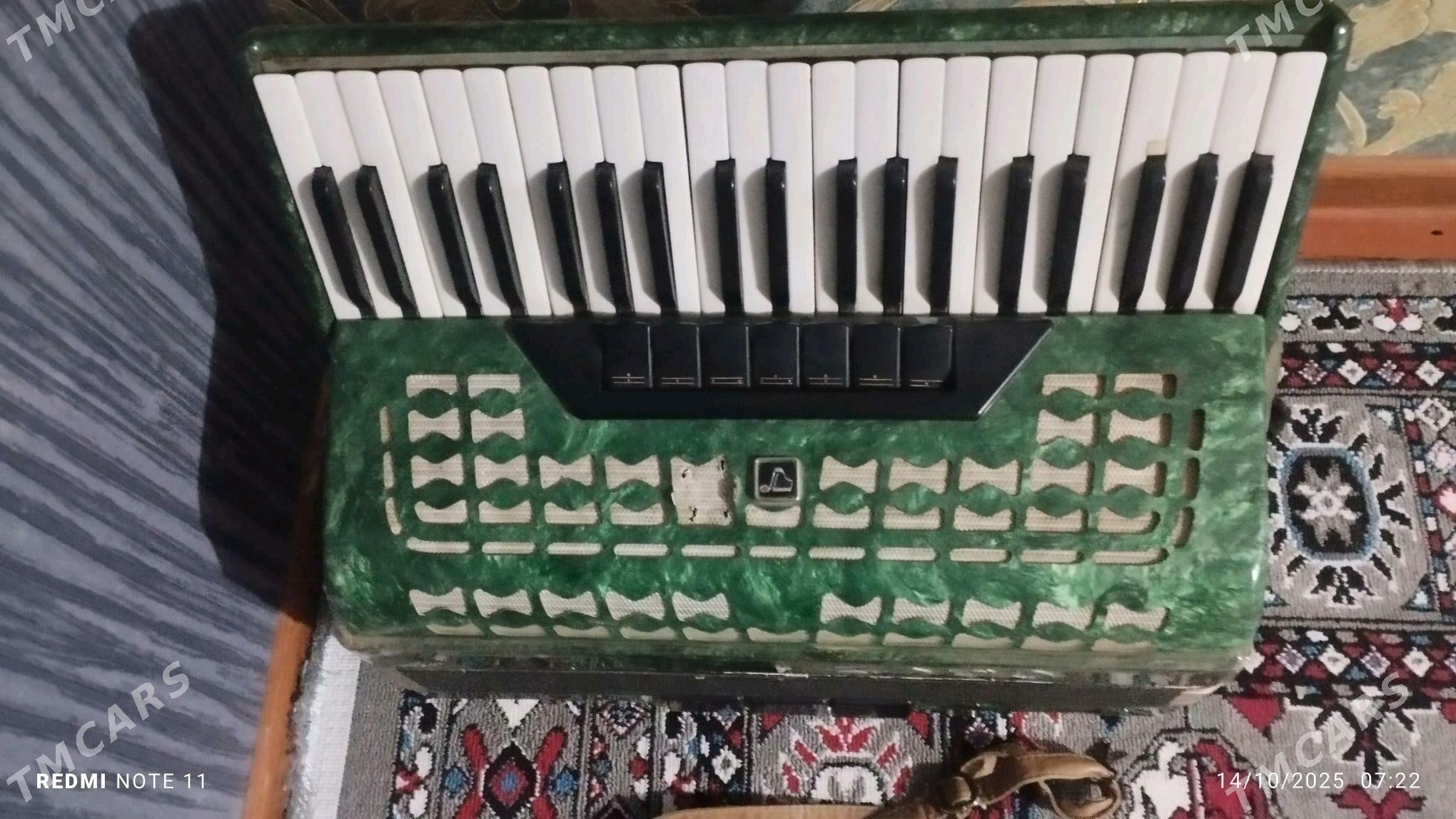 akkardeon - Mary - img 1