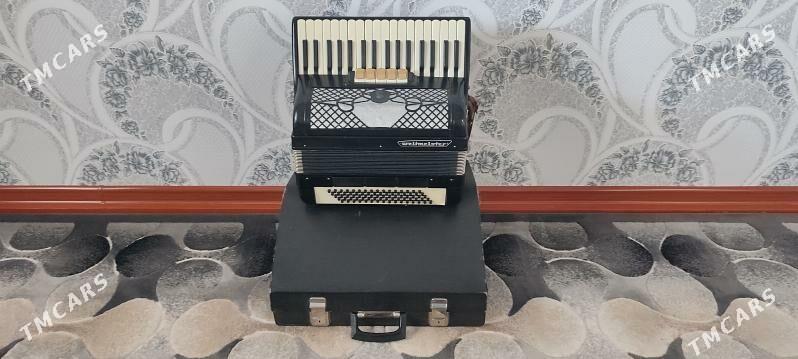 Akkordeon akardeon akardiyon - Murgap - img 2