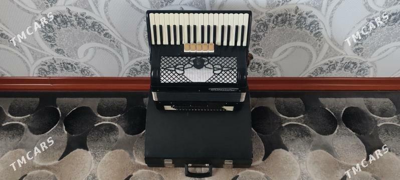 Akkordeon akardeon akardiyon - Murgap - img 3