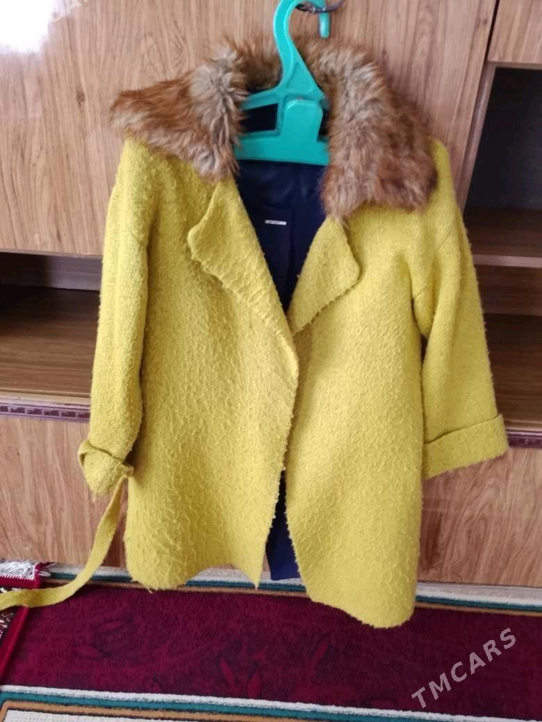 žempir - Änew - img 2