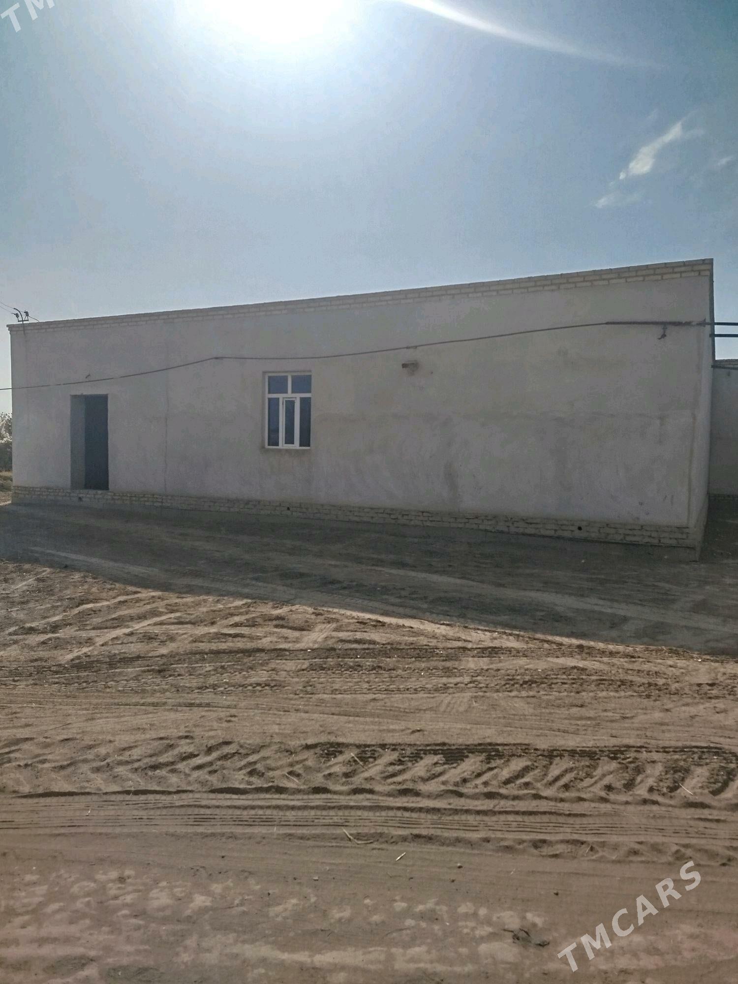 satylk jaysatlyk jay - Дашогуз - img 4