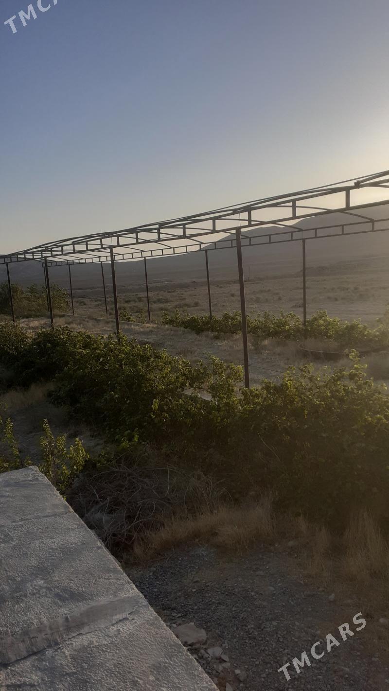 Багчылык ер - Гызыларбат - img 1