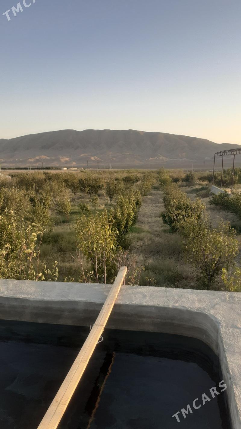 Багчылык ер - Гызыларбат - img 2