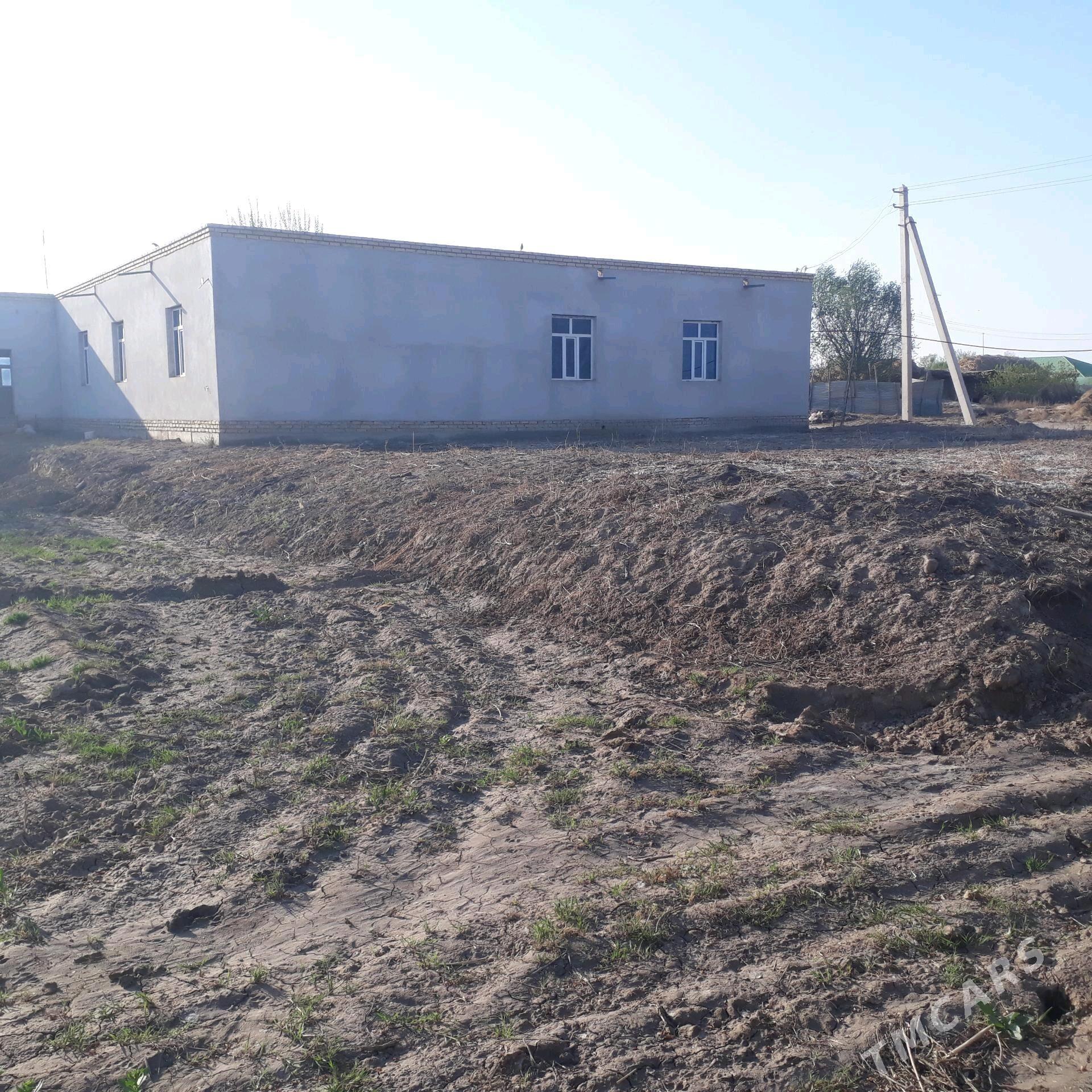 satylk jaysatlyk jay - Дашогуз - img 8