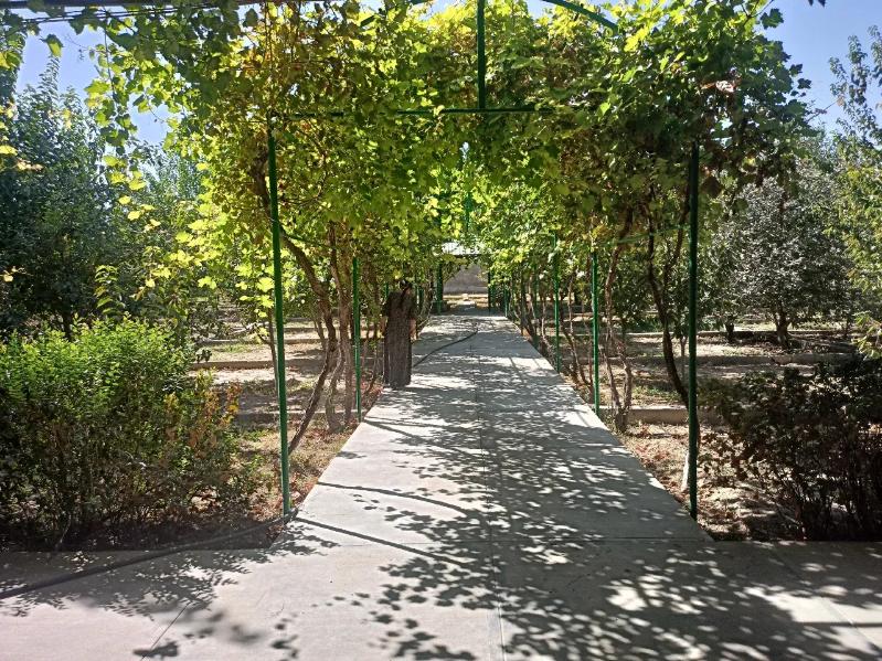 Gokdepe Kelejar 18 sot. plan - Гёкдепе - img 9