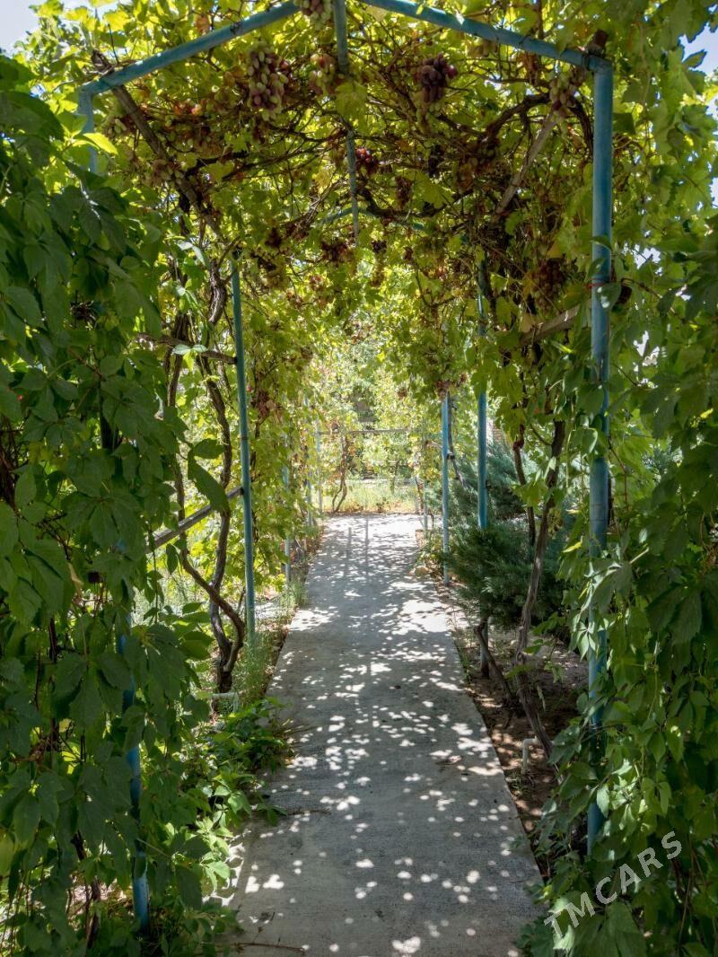 Satlyk dacha - Ашхабад - img 8