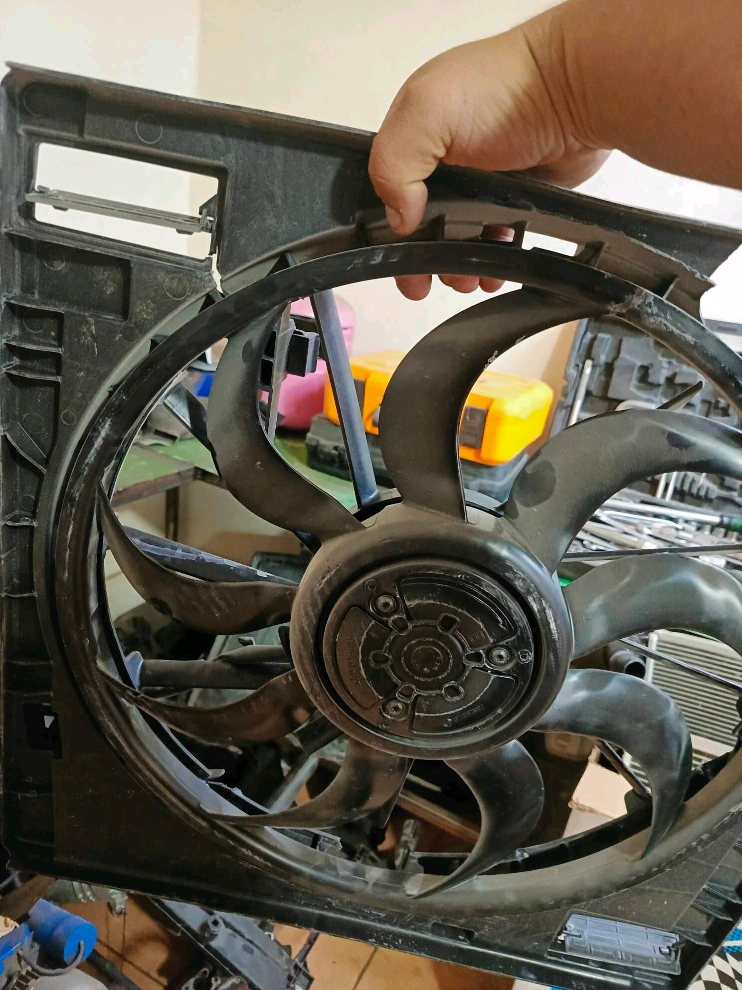 motorcik lopus 21-25 sorenta 2 000 TMT - Aşgabat - img 2