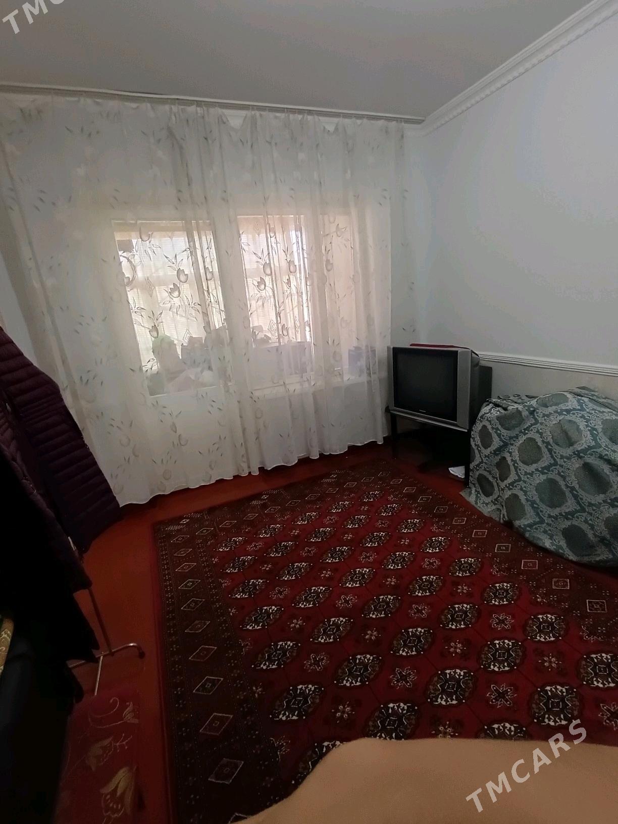 Satlyk jay - Мары - img 8