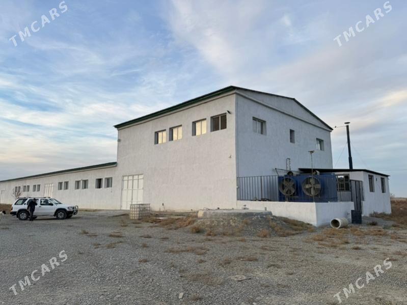 onumcilik baza. him - Бахарден - img 8