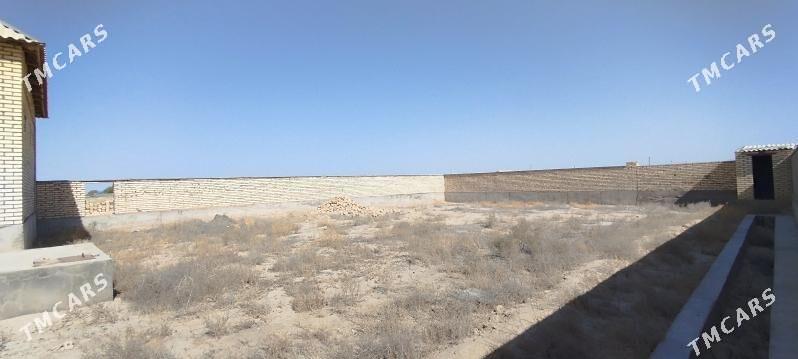 Plan Jay - Kaka - img 6