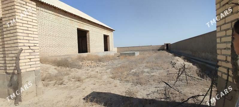 Plan Jay - Kaka - img 7