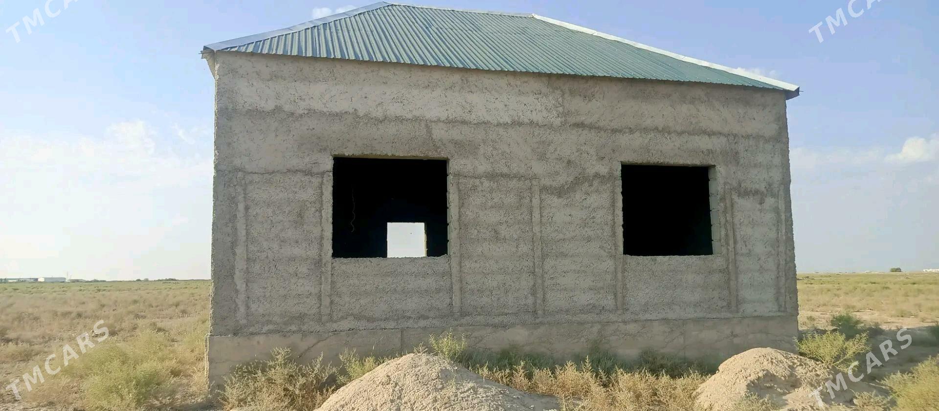 kaka arap gala yolda - Кака - img 2