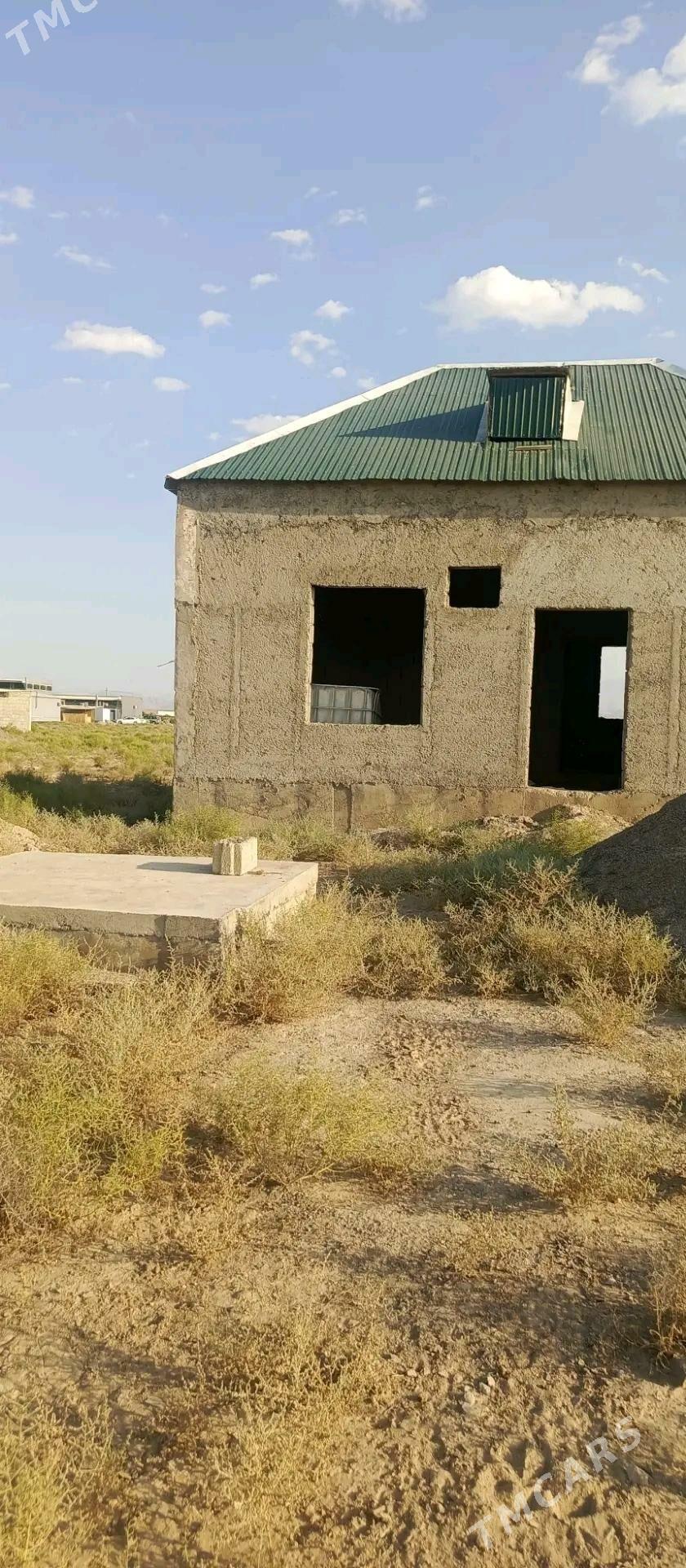 kaka arap gala yolda - Кака - img 3