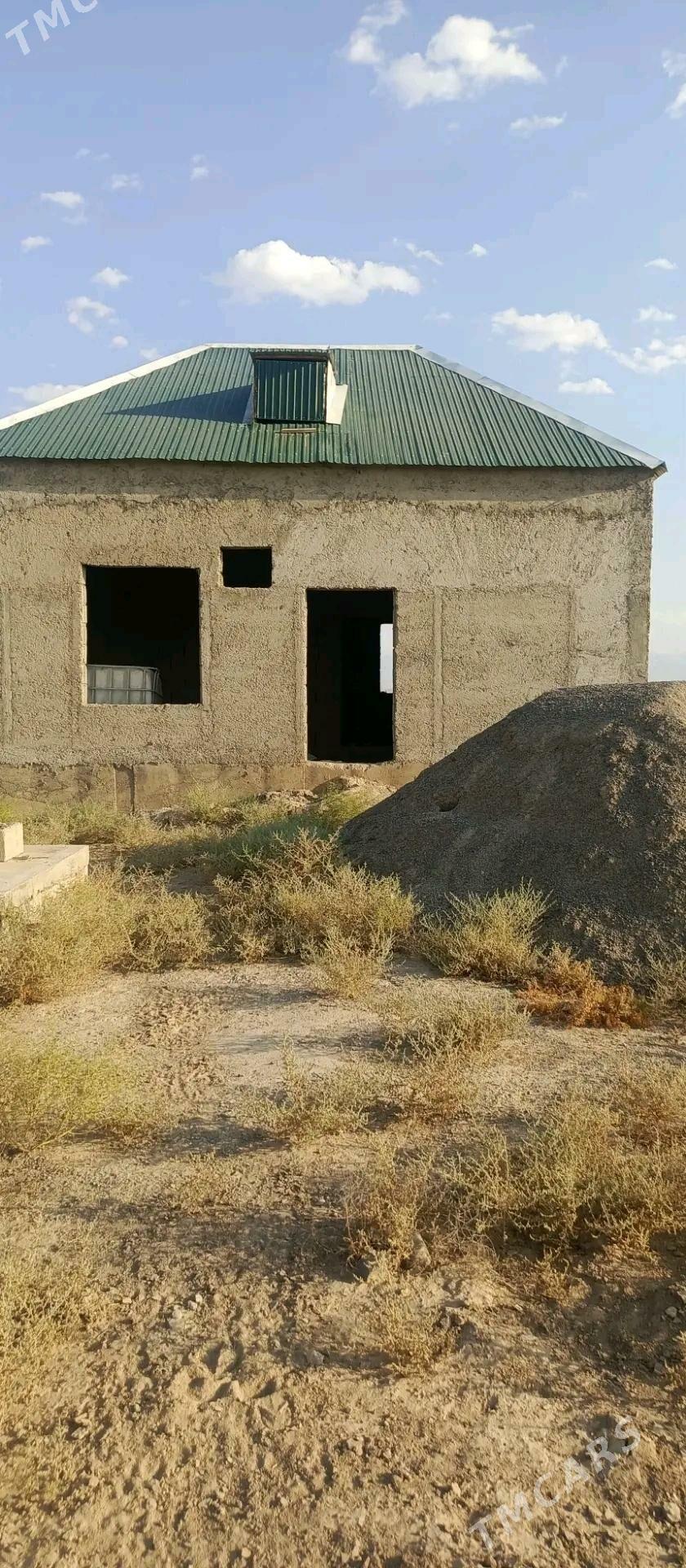 kaka arap gala yolda - Кака - img 4