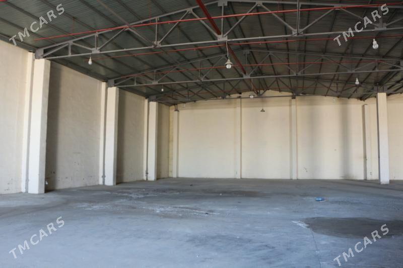 Ammarlar - Ak bugdaý etraby - img 2