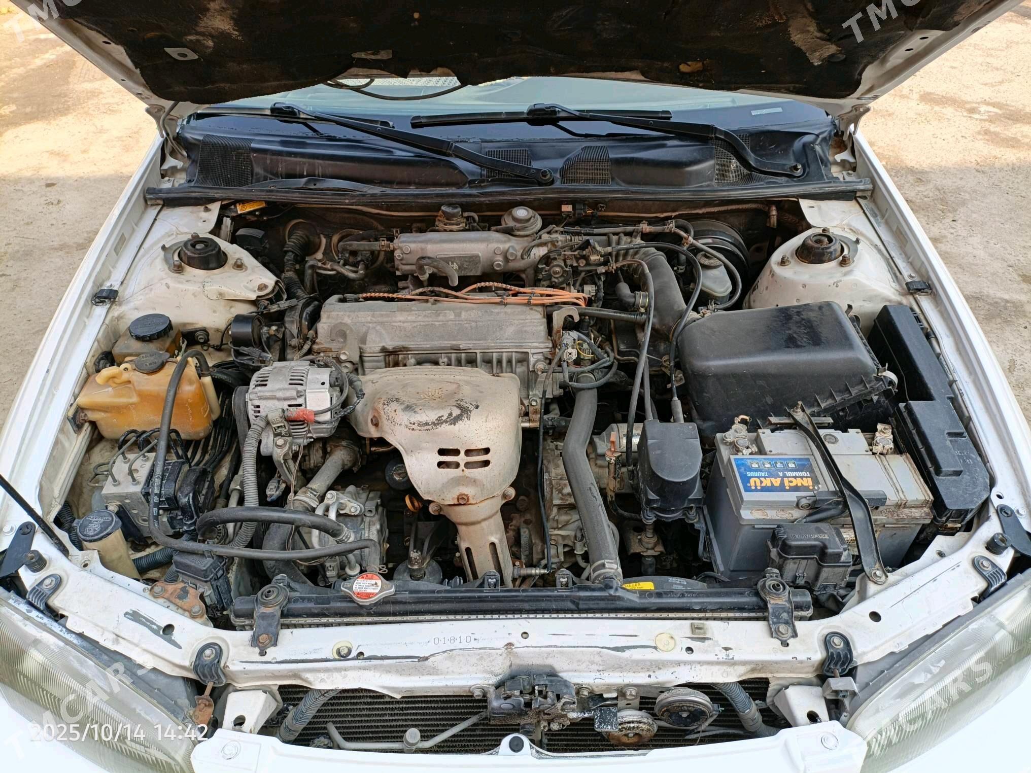 Toyota Camry 1999 - 130 000 TMT - Baýramaly - img 2
