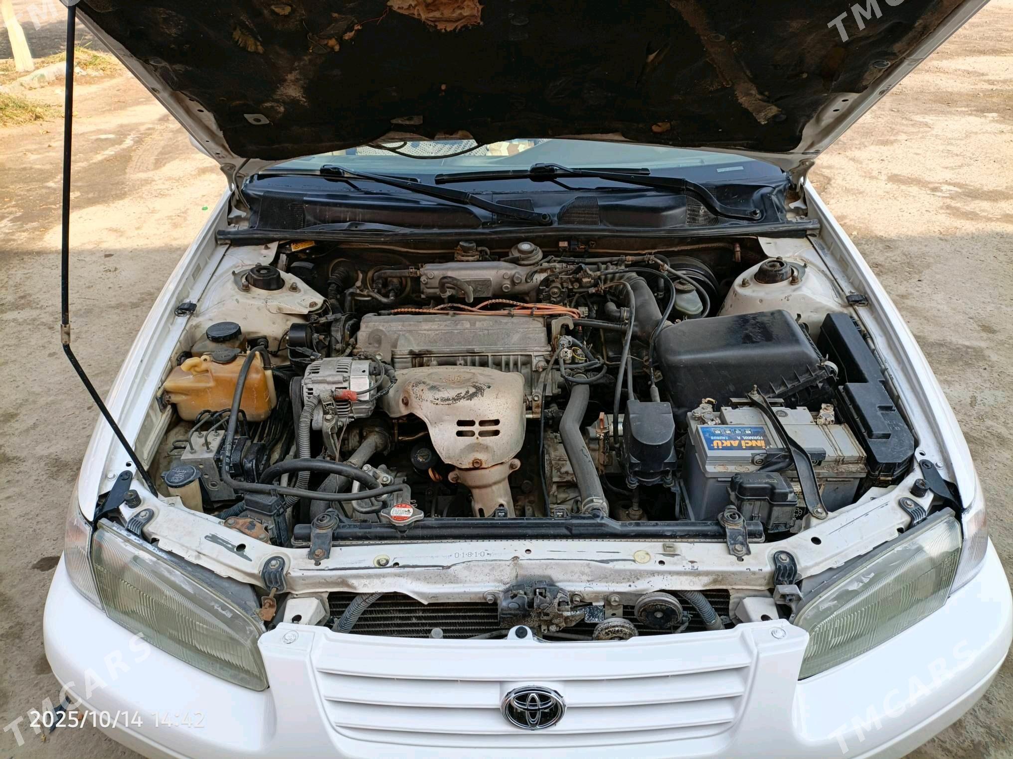 Toyota Camry 1999 - 130 000 TMT - Baýramaly - img 4