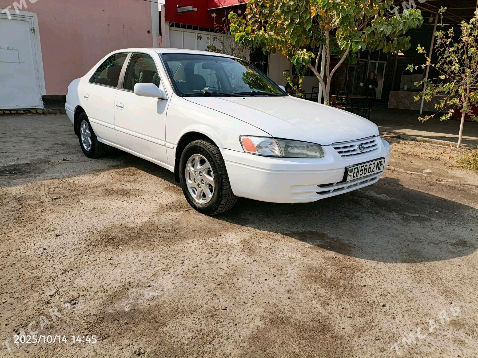 Toyota Camry 1999 - 130 000 TMT - Baýramaly - img 1