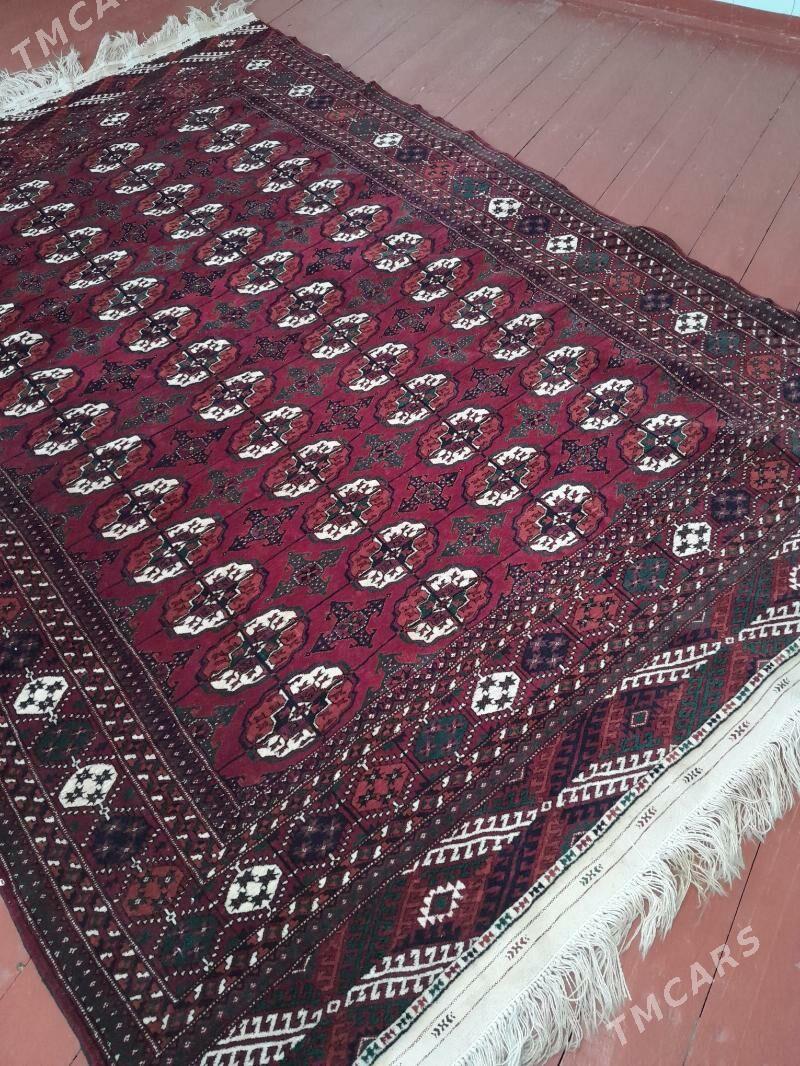 Turkmen haly - Mary - img 3