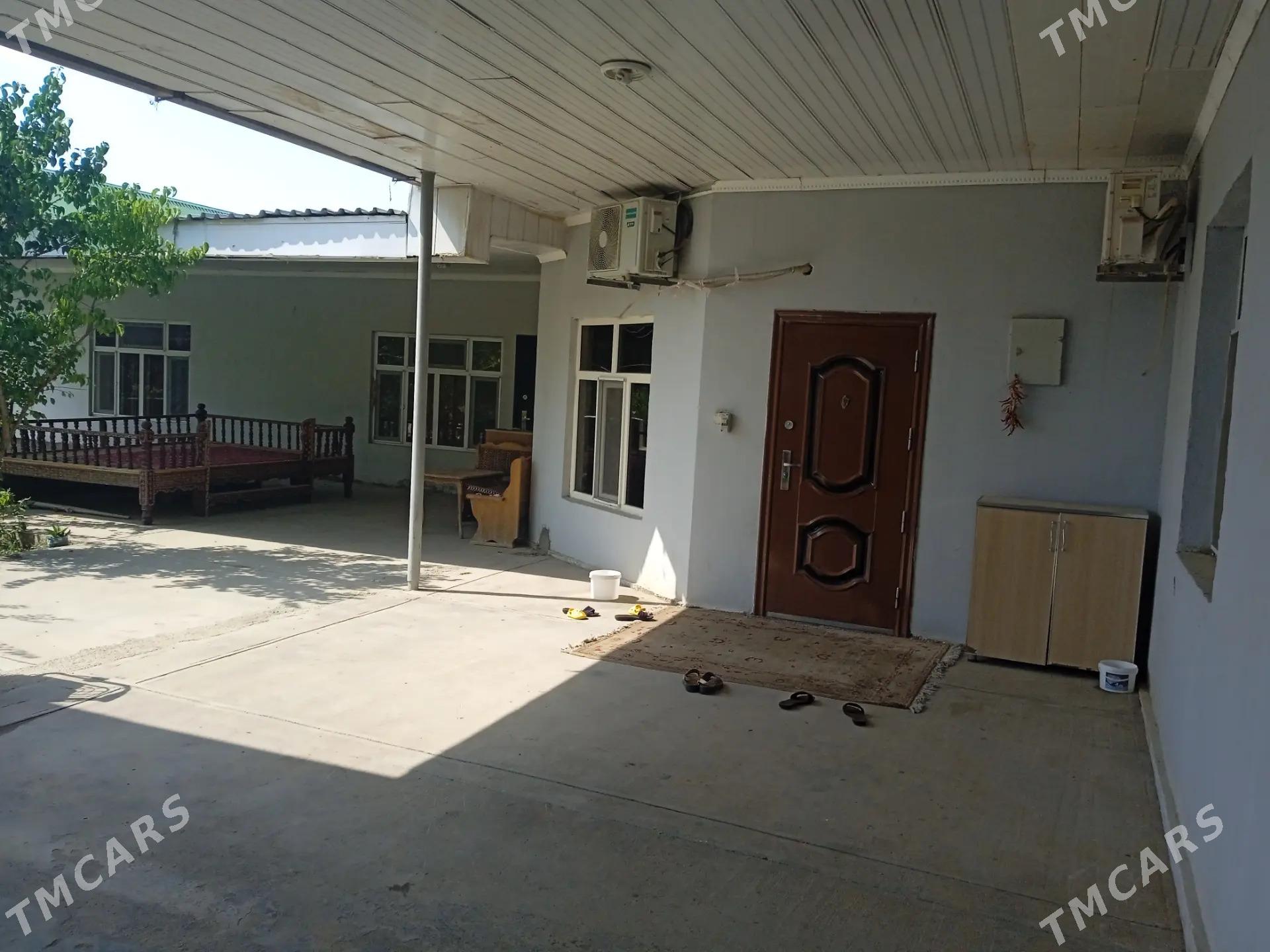 Anev plan Saglik kúruk - Анев - img 2