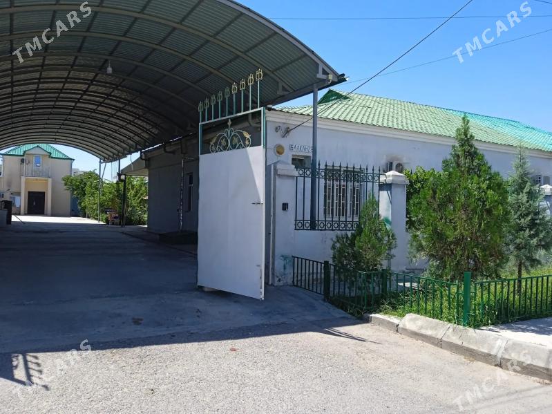 Anev plan Saglik kúruk - Анев - img 3